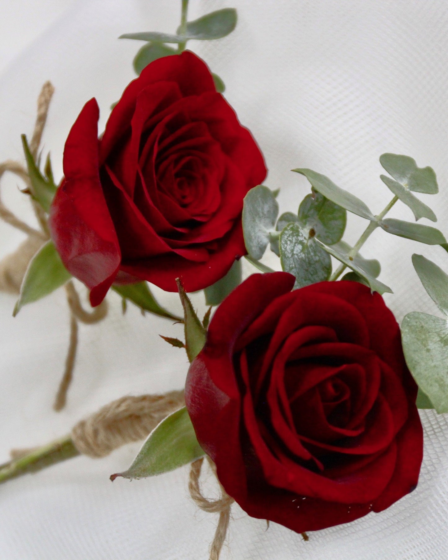 Boutonniere - Red Rose