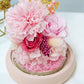 Preserved Pink Carnation Dome