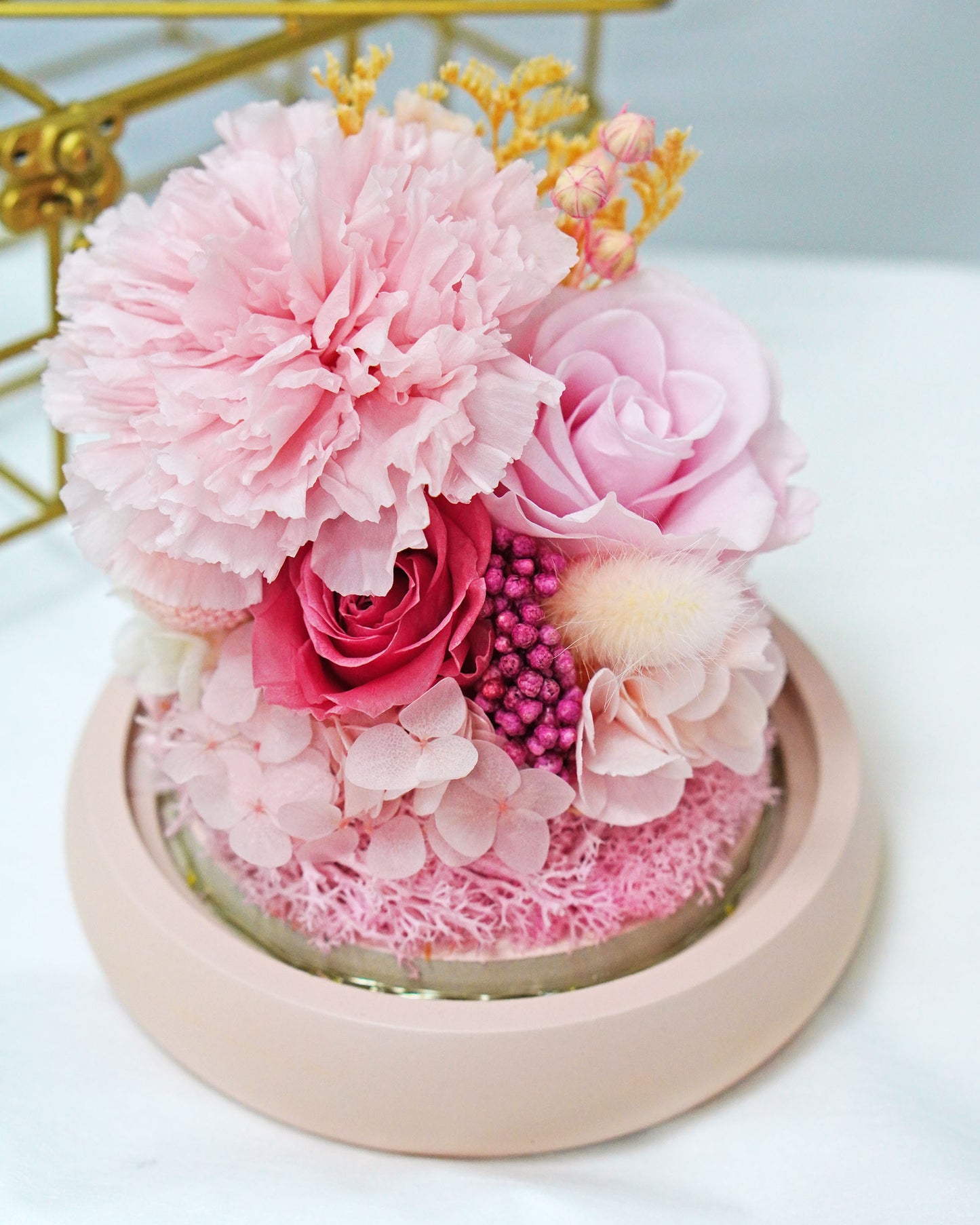 Preserved Pink Carnation Dome