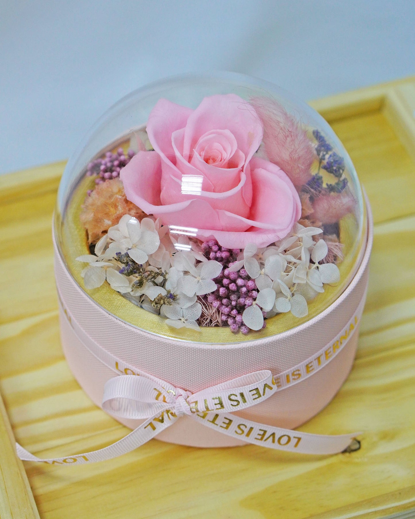 Preserved Rose in Round Dome - Pink Roses